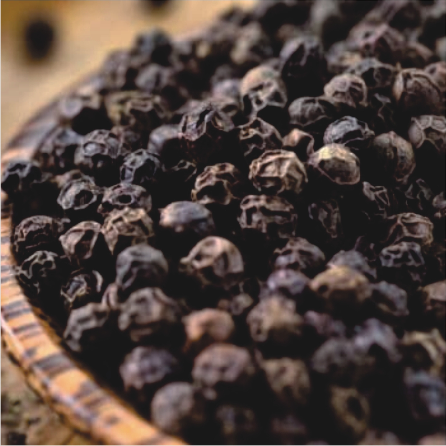 BLACK PEPPER -4